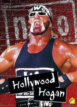 Hollywood Hogan