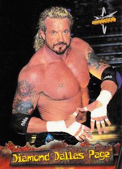 Diamond Dallas Page