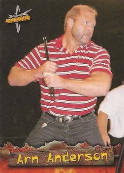 Arn Anderson