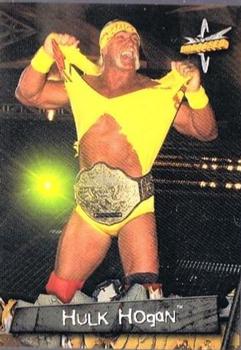 Hulk Hogan