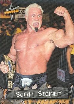 Scott Steiner