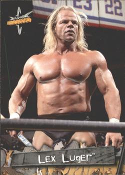 Lex Luger