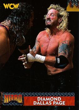 Diamond Dallas Page