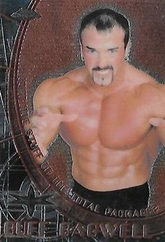 Buff Bagwell / Lex Luger 