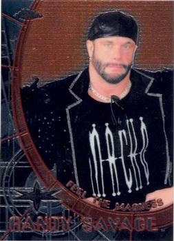 Randy Savage / Gorgeous George 