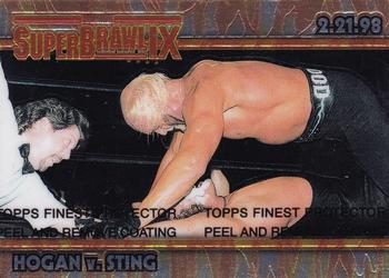 Hollywood Hogan / Sting 