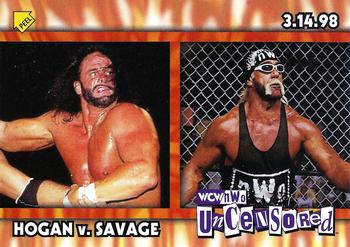 Hogan vs Savage 