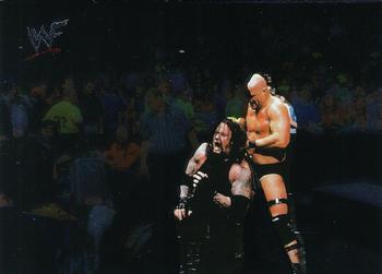 Stone Cold Steve Austin/The Undertaker