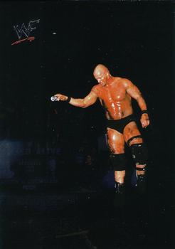 Stone Cold Steve Austin/The Undertaker