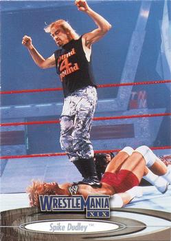 Spike Dudley