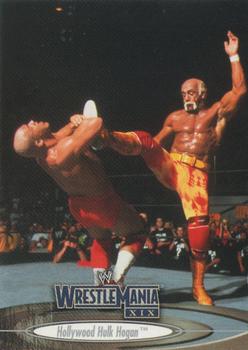 Hollywood Hulk Hogan