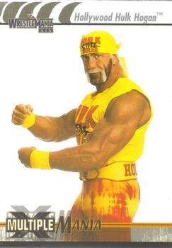 Hollywood Hulk Hogan