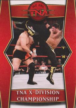TNA X-Division Championship 
