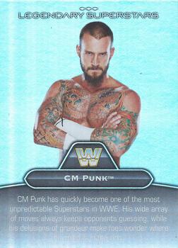 CM Punk / Terry Funk