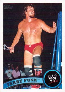 Terry Funk
