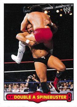 Arn Anderson/Double A Spinebuster 