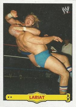 Barry Windham/Lariat 