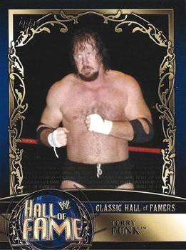 Terry Funk