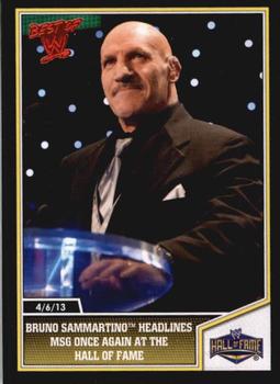 Bruno Sammartino Headlines MSG Once Again at the Hall of Fame