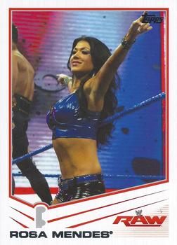 Rosa Mendes
