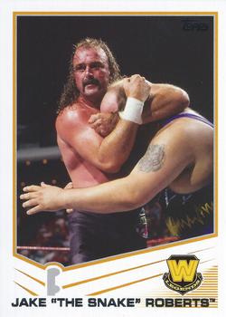 Jake "The Snake" Roberts