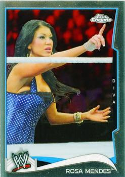 Rosa Mendes