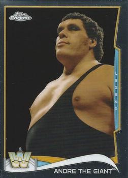 Andre the Giant