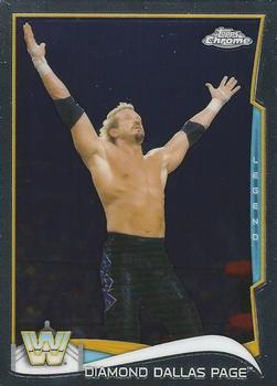 Diamond Dallas Page