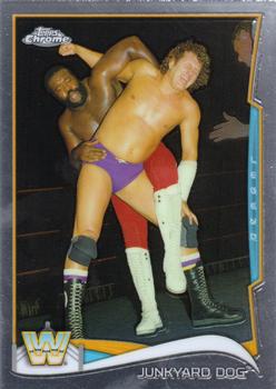 Junkyard Dog