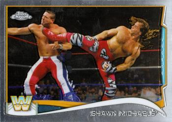Shawn Michaels