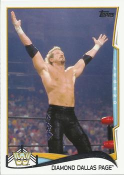 Diamond Dallas Page