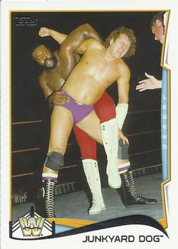 Junkyard Dog