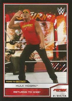 Hulk Hogan