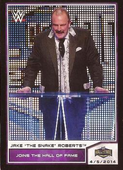 Jake The Snake Roberts