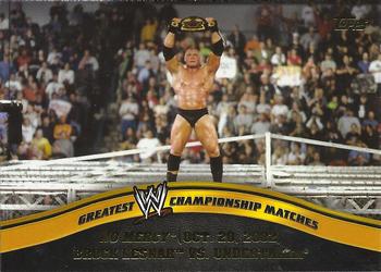 Brock Lesnar / Undertaker