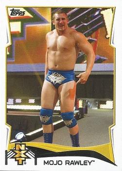 Mojo Rawley