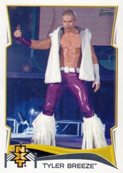 Tyler Breeze
