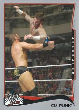 CM Punk