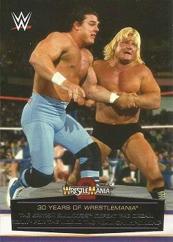 The British Bulldogs Defeat The Dream Team for the World Tag Team Championship 