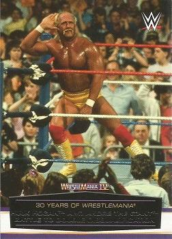 Hulk Hogan and Andre The Giant Battle to Double Disqualification 