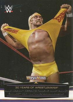 Hulk Hogan Defeats "Macho Man" Randy Savage for the WWE Championship 
