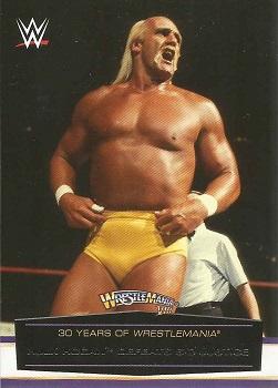 Hulk Hogan Defeats Sid Justice 