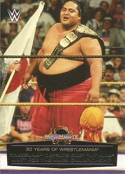 Yokozuna Defeats Bret "Hit Man" Hart for the WWE Championship 