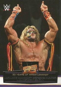 Ultimate Warrior Defeats Hunter Hearst-Helmsley 