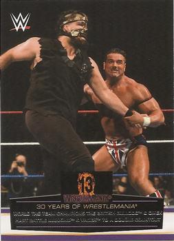 World Tag Team Champions The British Bulldog &amp; Owen Hart Battle Mankind &amp; Vader to a Double Countout 