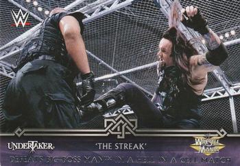 Undertaker Defeats Big Boss Man in a Hell in a Cell Match 