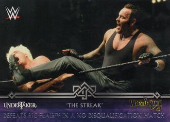 Undertaker Defeats Ric Flair in a No Disqualification Match 