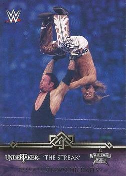 Undertaker Defeats Shawn Michaels 