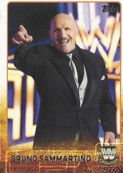 Bruno Sammartino