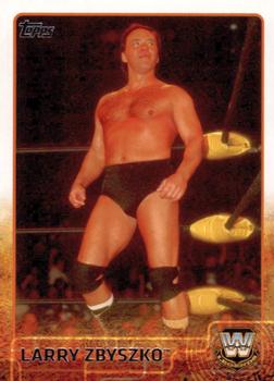 Larry Zbyszko